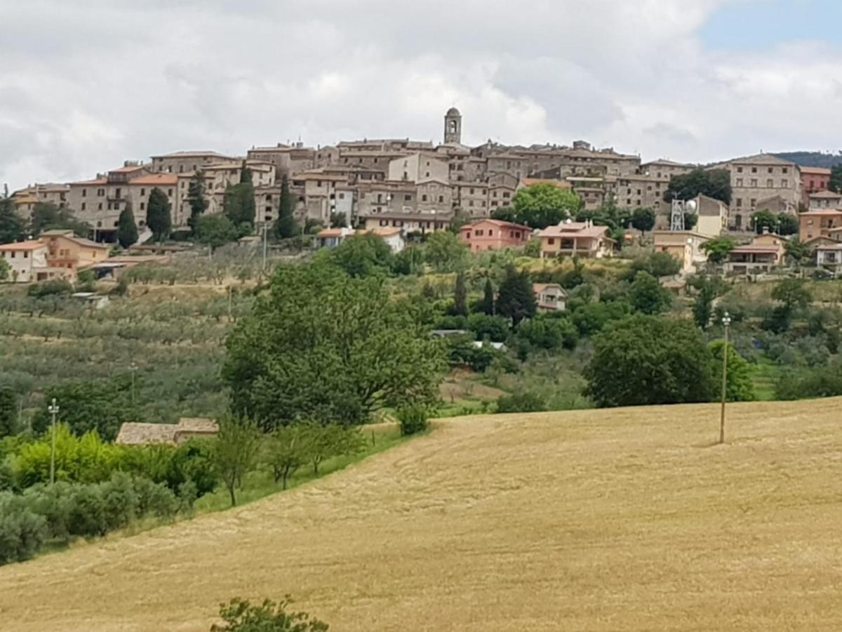 Al Ginepro Bed and Breakfast Montecchio  Exteriör bild